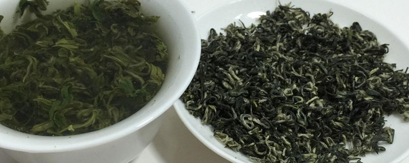 绿茶怎么分辨好坏
