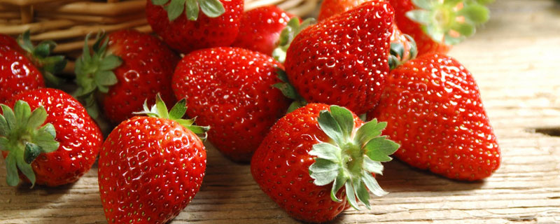 草莓养殖方法和注意事项