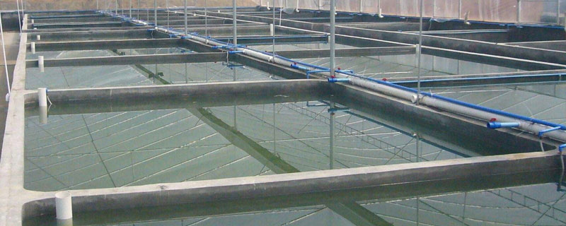 室内水产养殖水箱作用