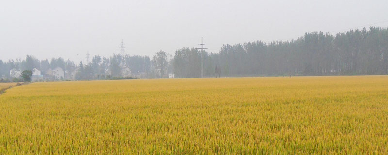 最早总结江南水稻地区栽培技术的一部农书