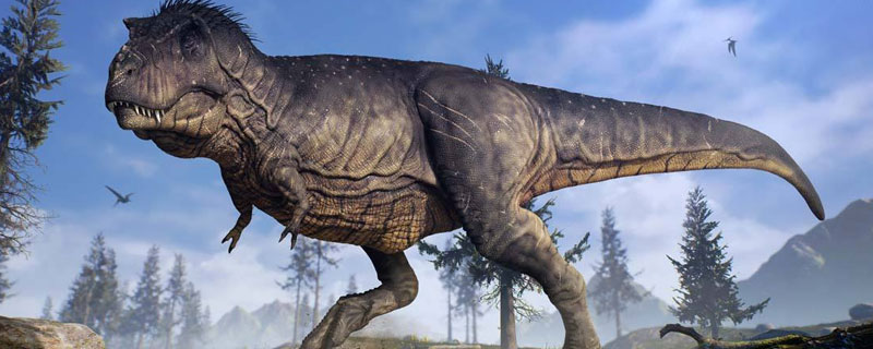 恐龙的体型有多大