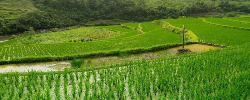 农田灌溉水标准