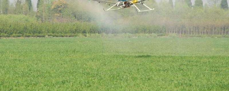2甲4氯钠除草剂作用，打多了对水稻有什么危害