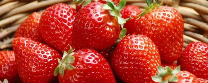 草莓打膨大剂最佳时机，僵果是怎么造成的