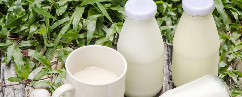 鲜牛奶为什么变成豆花状，保质期有多久