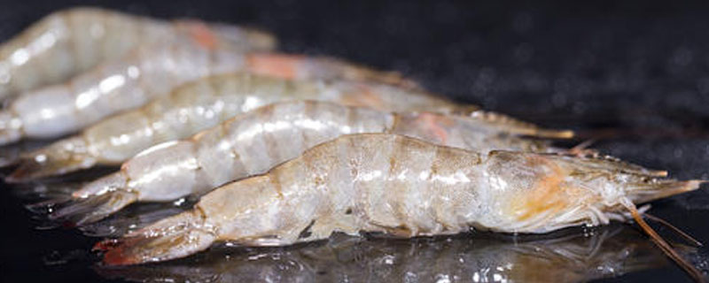 厄瓜多尔白虾有污染吗