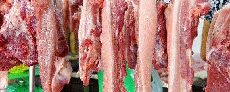 中国的猪肉主要从哪些国家进口