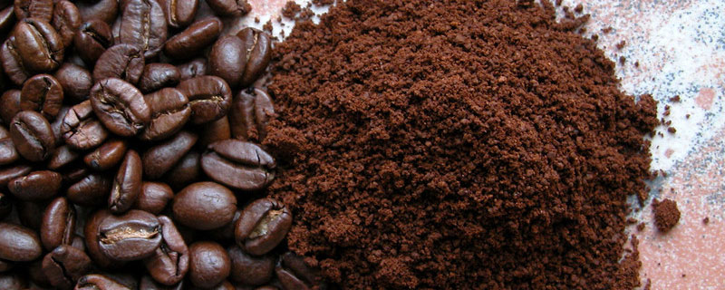 咖啡粉可以作肥料吗