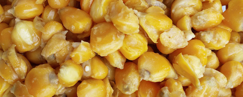 发酵玉米怎么保存
