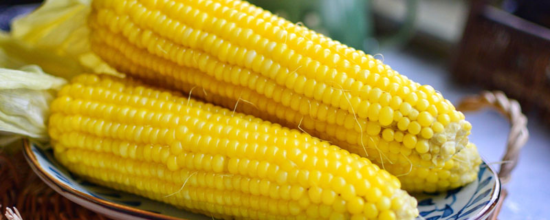 玉米每个玉米粒上有刺