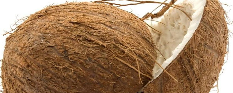 椰子壳怎么处理成肥料