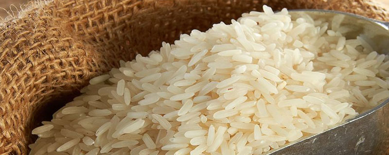 东北大米是水稻还是旱稻