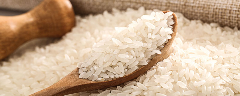 腹白米为不良品质米吗