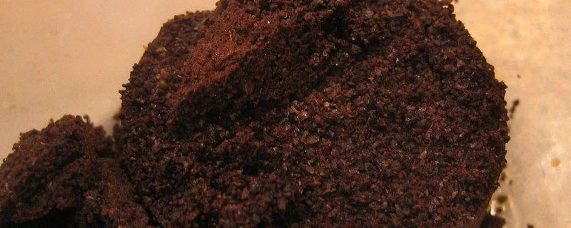 咖啡渣怎么做肥料