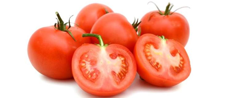 防治番茄卷叶的偏方,原因及防治方法