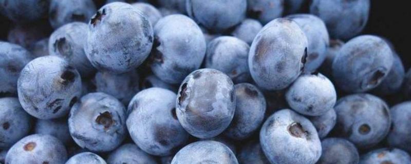 蓝莓农药残留高吗，蓝莓上的白霜要洗掉吗