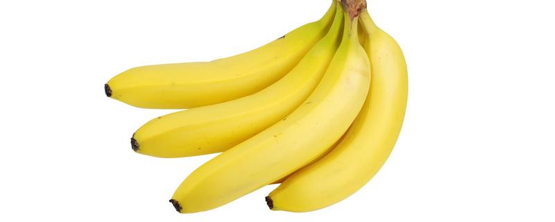 整个烂香蕉能做花肥吗，如何用香蕉皮做肥料养花