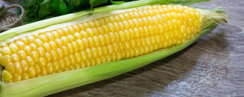 甜玉米一亩地的纯收入，种植技术与管理