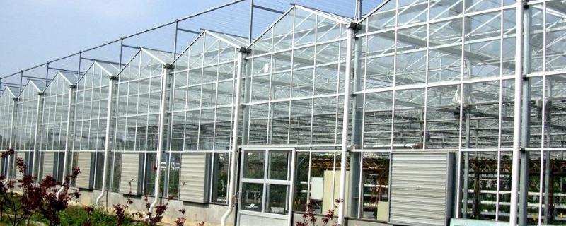 如何建造温室玻璃大棚，造价多少