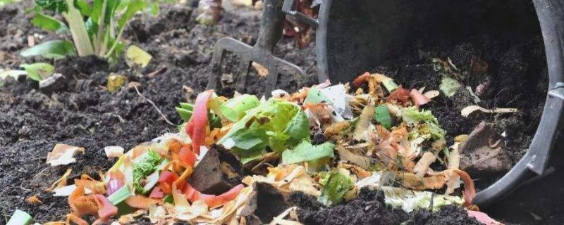 烂菜叶子可以做肥料吗，怎样快速发酵