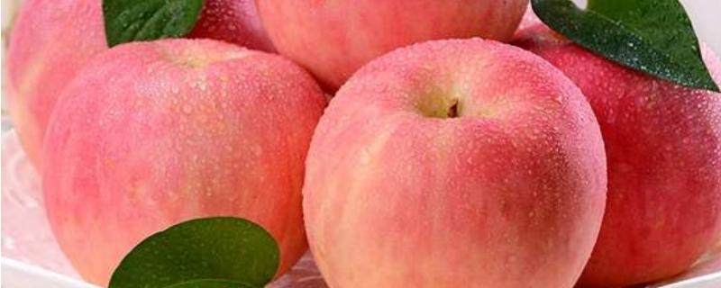烟台红富士苹果几月份成熟，上市季节，口感介绍