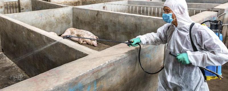猪场烧碱消毒使用方法，用什么工具