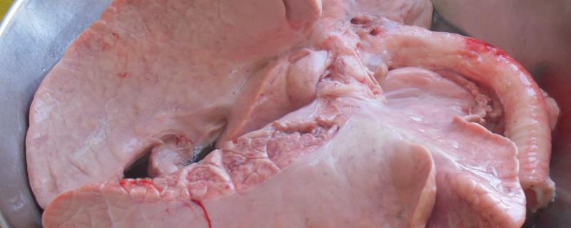 怎么洗猪肺，猪肺吃了有害处吗