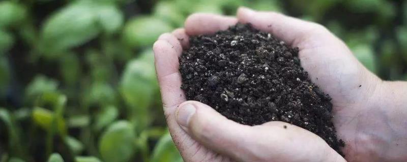 生物肥料的检验类型有哪些?，生物肥料主要有哪些