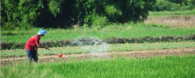 水分对农业生产的影响，旱作农业特点
