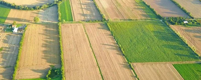 什么是永久基本农田，永久基本农田和基本农田的区别