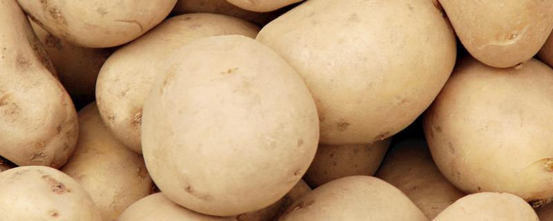马铃薯对养分的要求，马铃薯和地瓜的区别