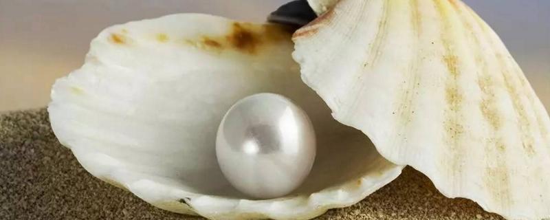 养殖珍珠和天然珍珠区别，养殖珍珠的形成过程