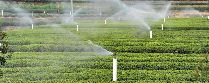 喷微灌溉面积达到多少，微灌系统的灌水方式