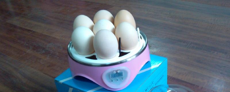 孵蛋器孵蛋注意事项，孵蛋器是恒温的吗