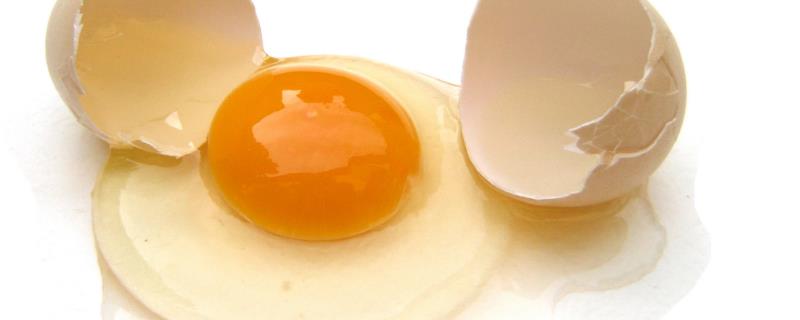 鸡卵包括哪四个结构，鸡卵是如何受精的