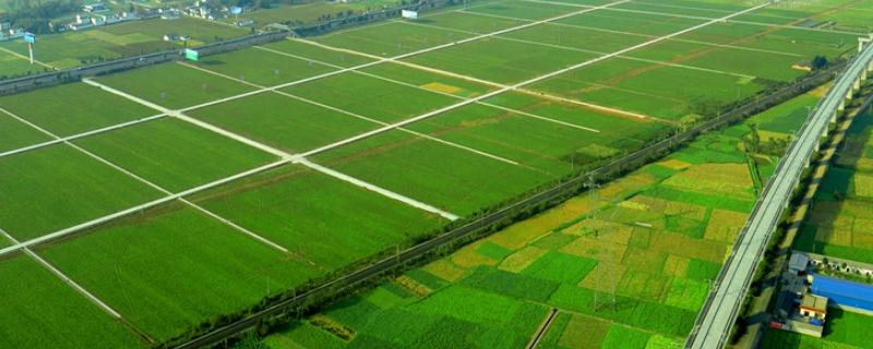 生态农业概念，生态农业与有机农业的区别