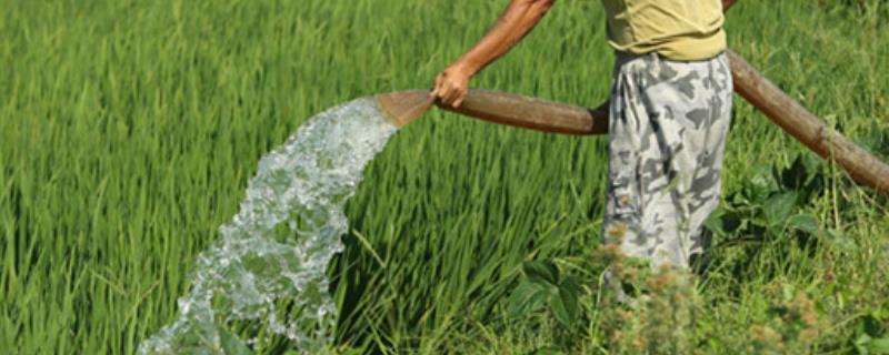 农业用水大户农业用水量主要用于，农业用水属于几类水