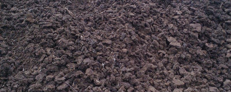 鸭粪对土壤的危害，鸭粪如何制造有机肥