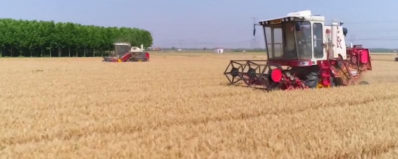 小麦收割机改装玉米收割机需要什么配件，小麦收割机的工作原理