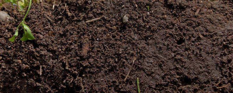 测土配方，测土配方施肥技术有哪些
