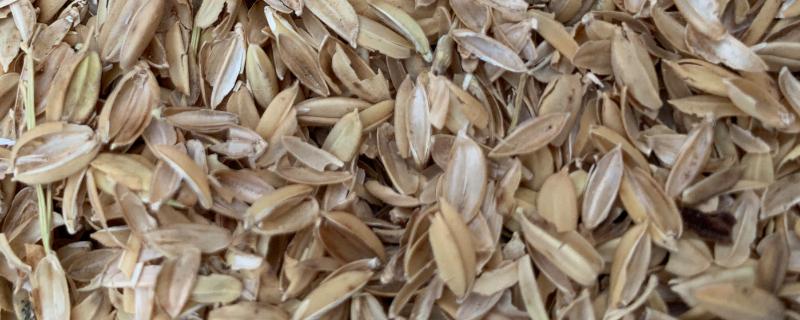 稻壳不发酵能拌土吗，稻壳可以拌土种花吗