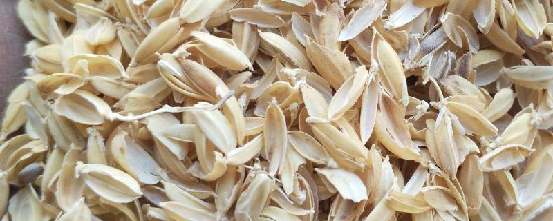 稻壳能做什么东西，稻壳的营养成分