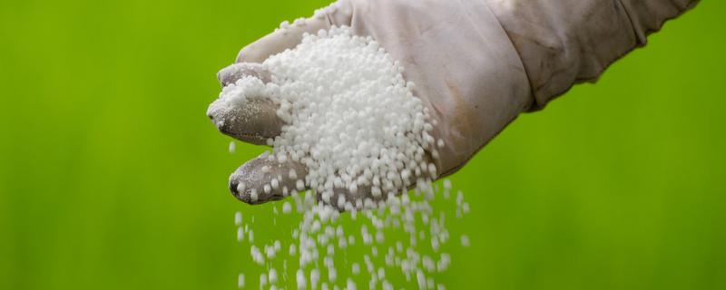 磷肥用于什么农作物，附使用方法