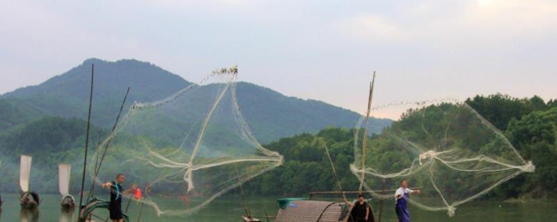 6指三层渔网多大鱼，渔网是怎么捕鱼的