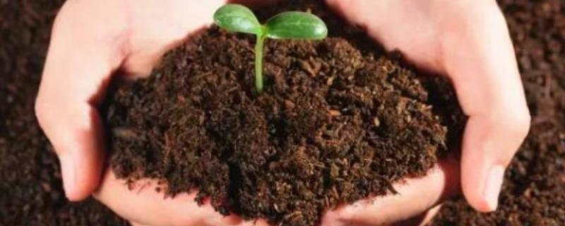 改良酸性土壤的碱，酸性土壤和碱性土壤的区别