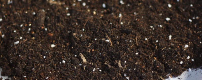 6L营养土是多少斤，营养土的正确使用技巧