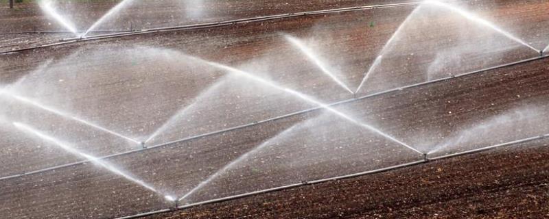 常见的灌溉方式有，灌溉方式最省水的是