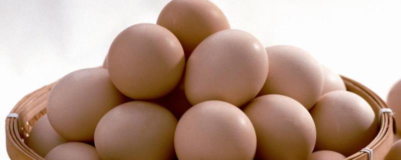 母鸡不受精可以生蛋吗，母鸡下软壳蛋是怎么回事
