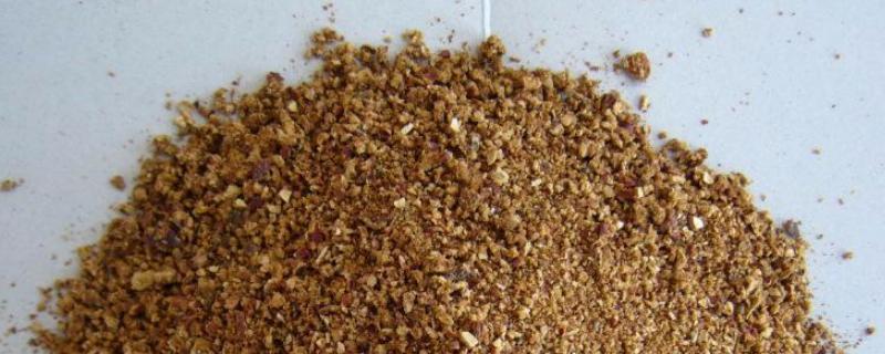 饲料枣粉能代替玉米吗，附饲料枣粉的添加比例