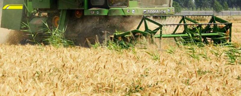 小麦收割机一天可以收割多少亩，收割后怎么处理